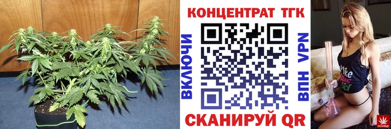 где можно купить   Пролетарск  ТГК вейп с тгк 